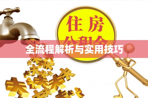 淳安全流程解析与实用技巧