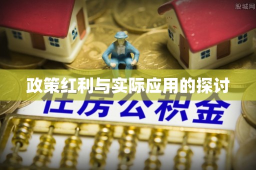 淳安政策红利与实际应用的探讨