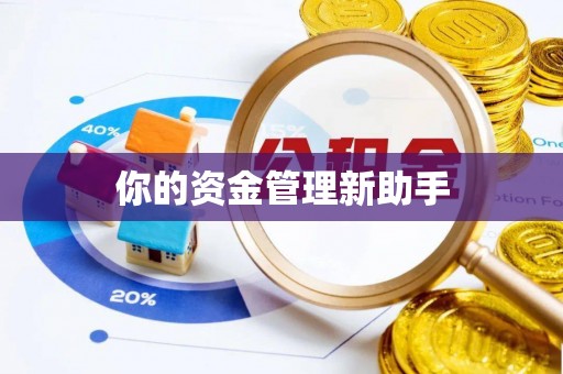 淳安你的资金管理新助手