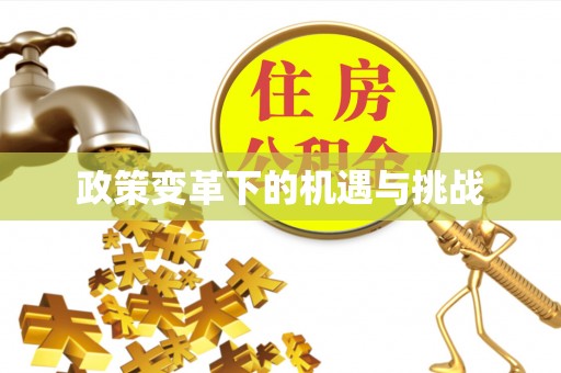 淳安政策变革下的机遇与挑战