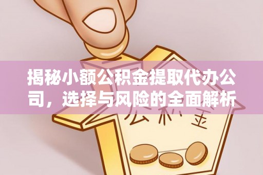 淳安揭秘小额公积金提取代办公司，选择与风险的全面解析
