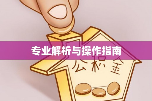 淳安专业解析与操作指南