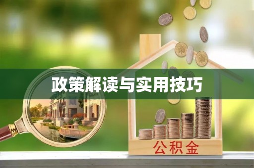 淳安政策解读与实用技巧