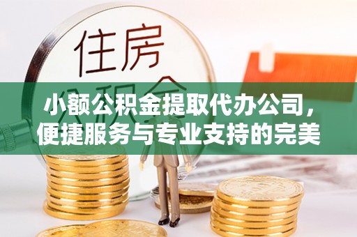 淳安小额公积金提取代办公司，便捷服务与专业支持的完美结合