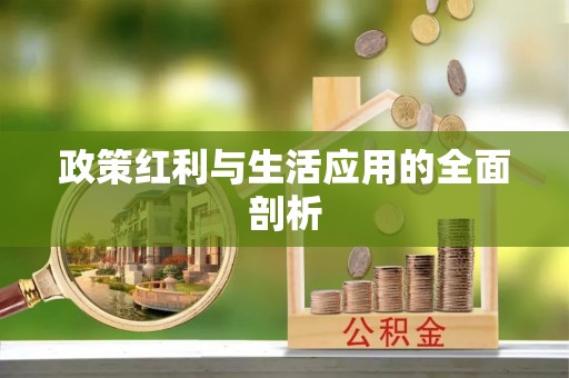 淳安政策红利与生活应用的全面剖析