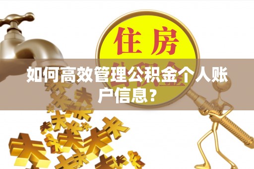 淳安如何高效管理公积金个人账户信息？