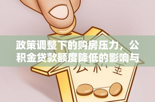 淳安政策调整下的购房压力，公积金贷款额度降低的影响与应对策略