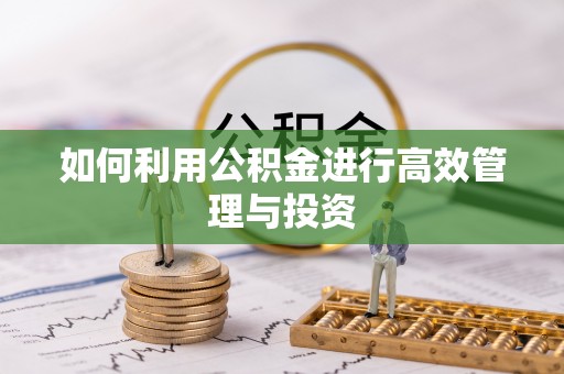 淳安如何利用公积金进行高效管理与投资